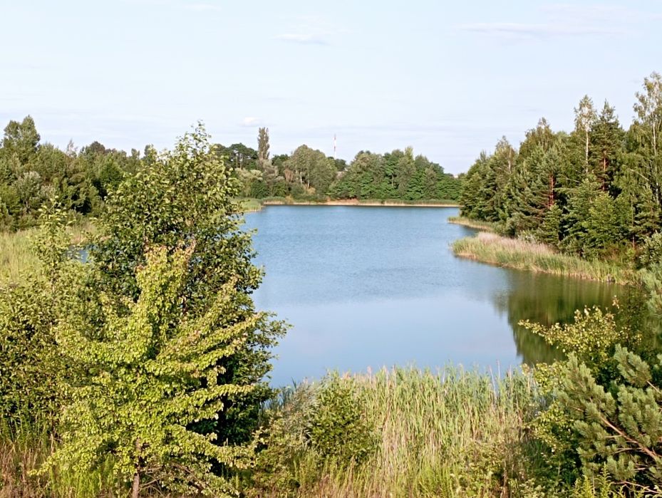 Продам земельну ділянку в с. Стрижівка