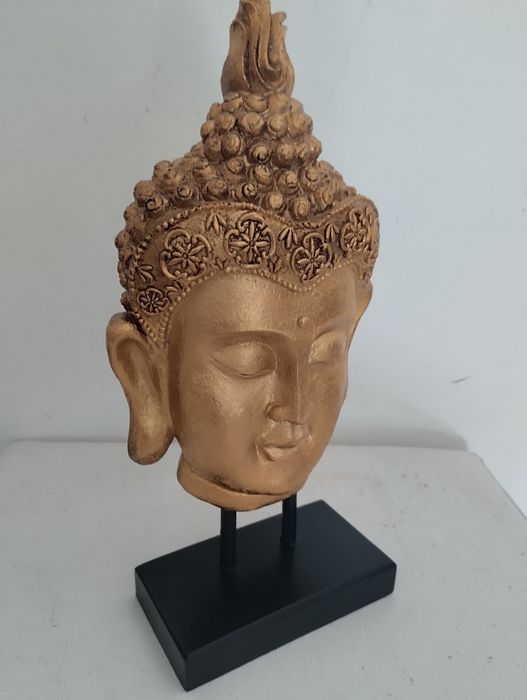 Cara de buda novo