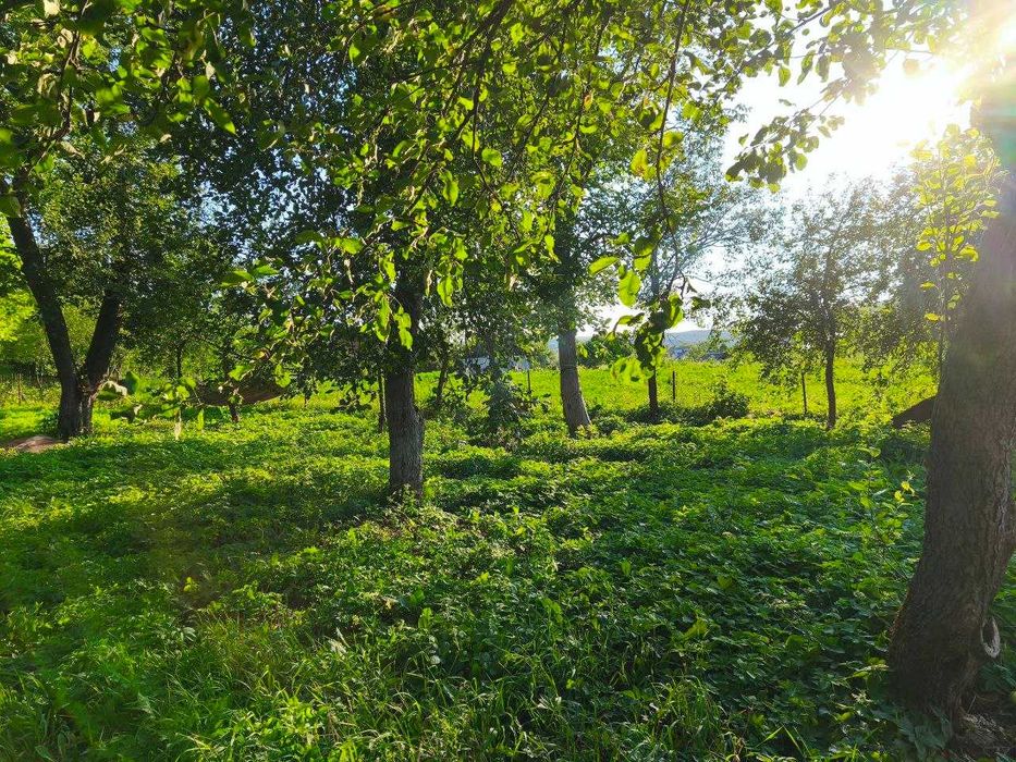 Продаж будинку в с Нижнів