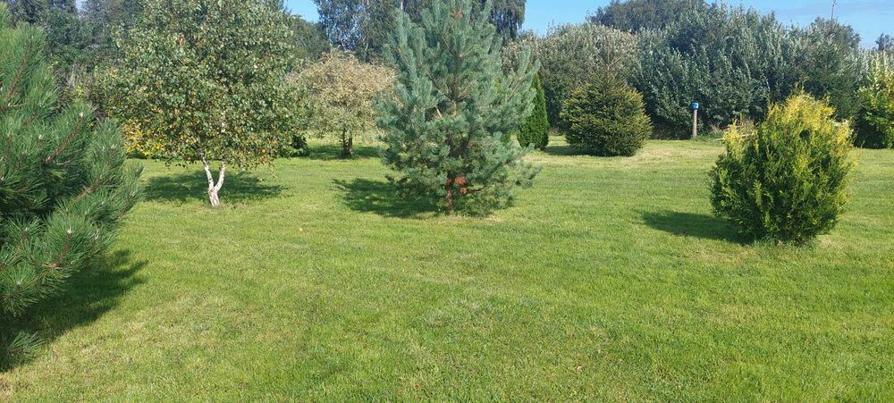 działka nad morzem, domek nad morzem - Widok 4