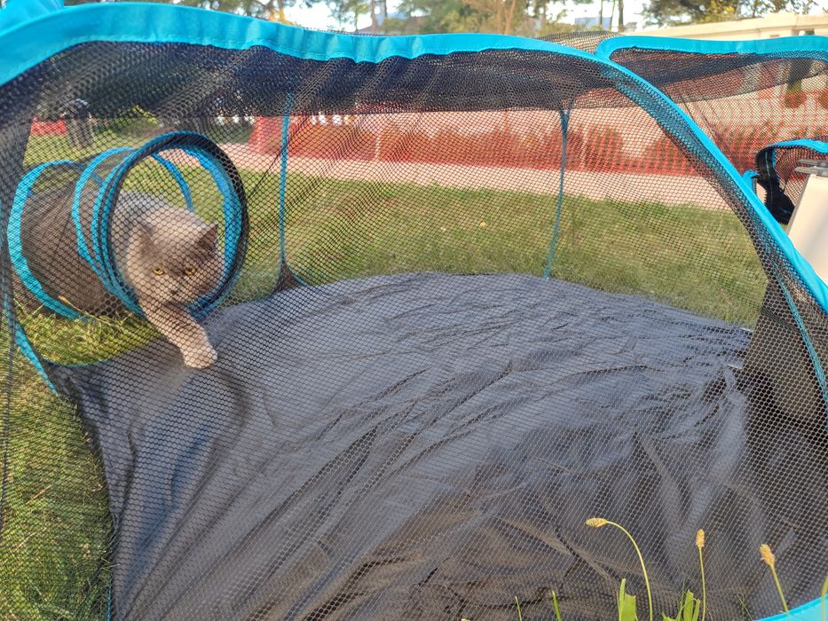 Parque para gato