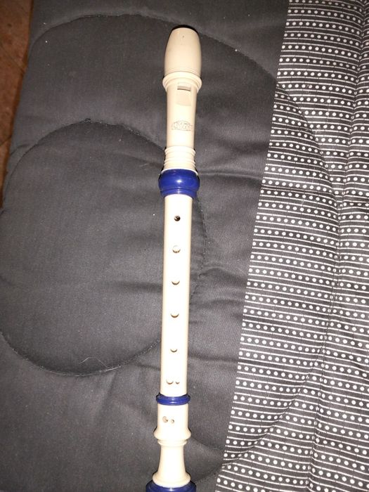 Flauta de sopro marca Luna,
