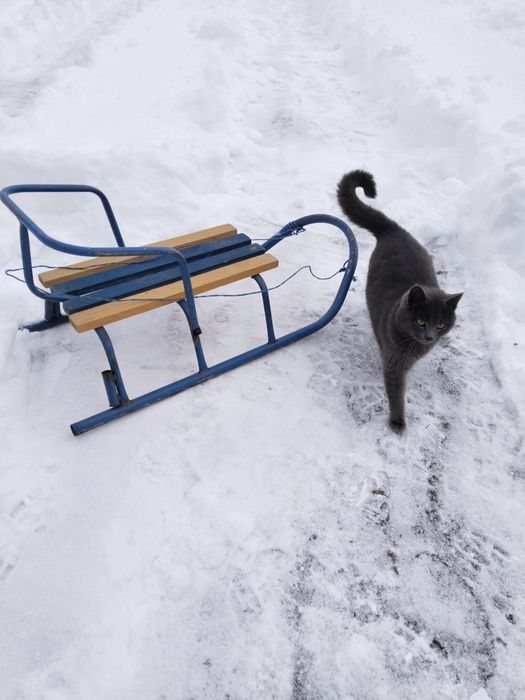 Санчата    б/ у .