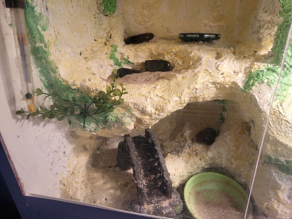Terrarium samorobne