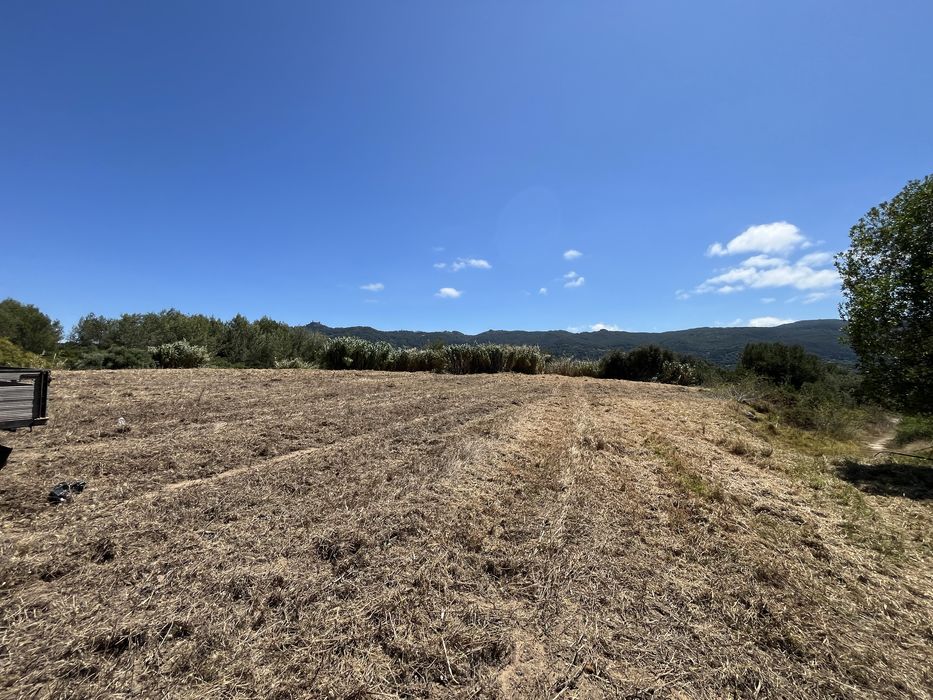 Limpeza de terrenos / corte de arvores etc…