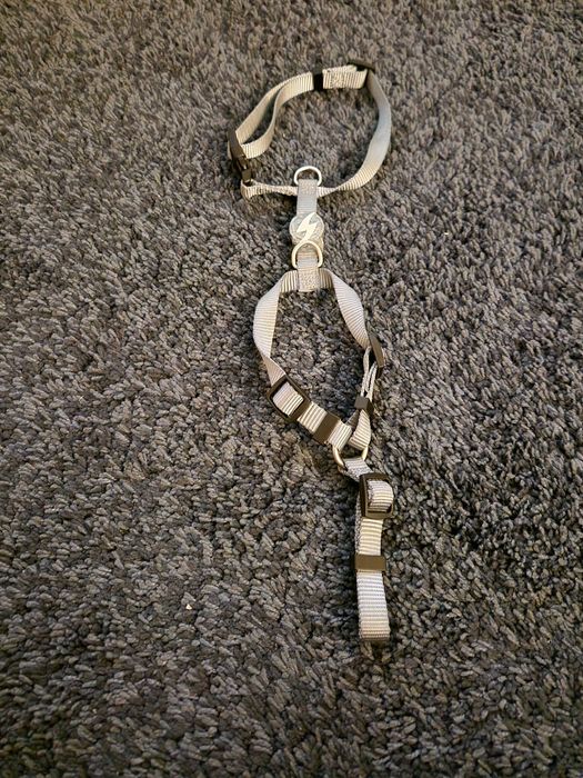 Coleira para cão XS cinzento