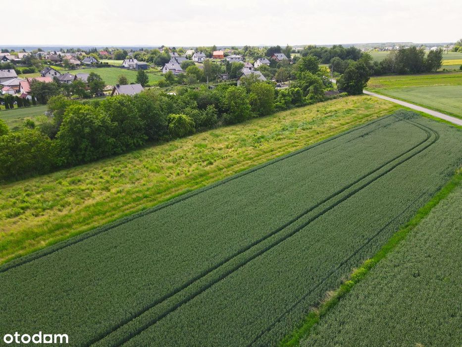 Działka w Gierałtowicach