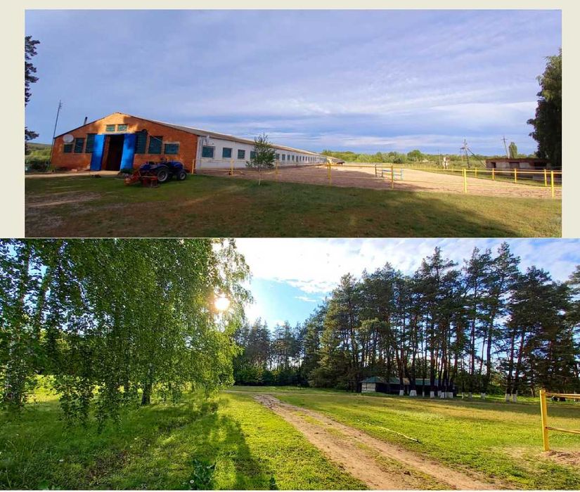 Постій коней та оренда денників у КСК «Юкон» (Харків)