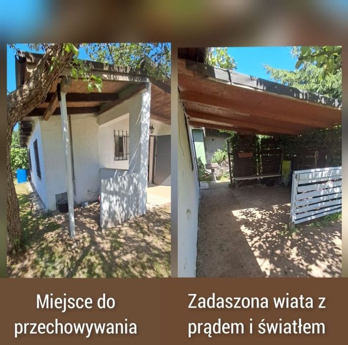 Działka ROD Minikowo (Starołęka)