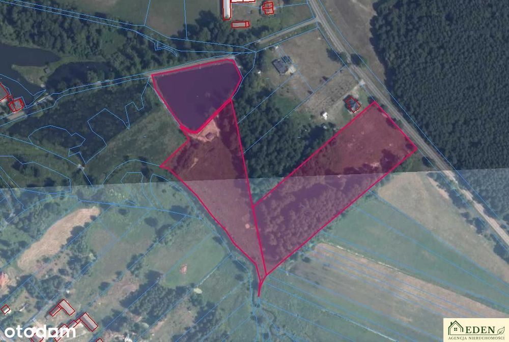 Działki inwestycyjne przy DW803ze stawem Zgórznica - Widok 5