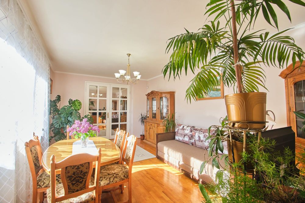 Будинок у Карпатах