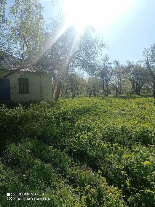 Продаж будинку в селі Волевачі