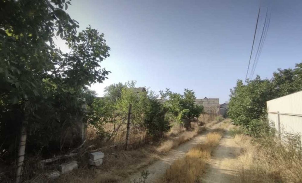 Супер пропозиція!