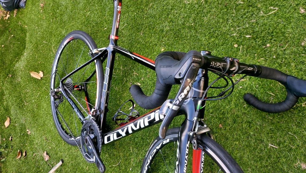 Olympia carbono t54
