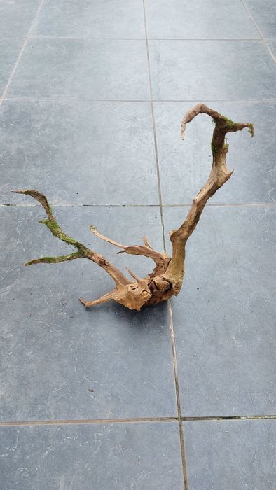 3 troncos aquário Red Wood