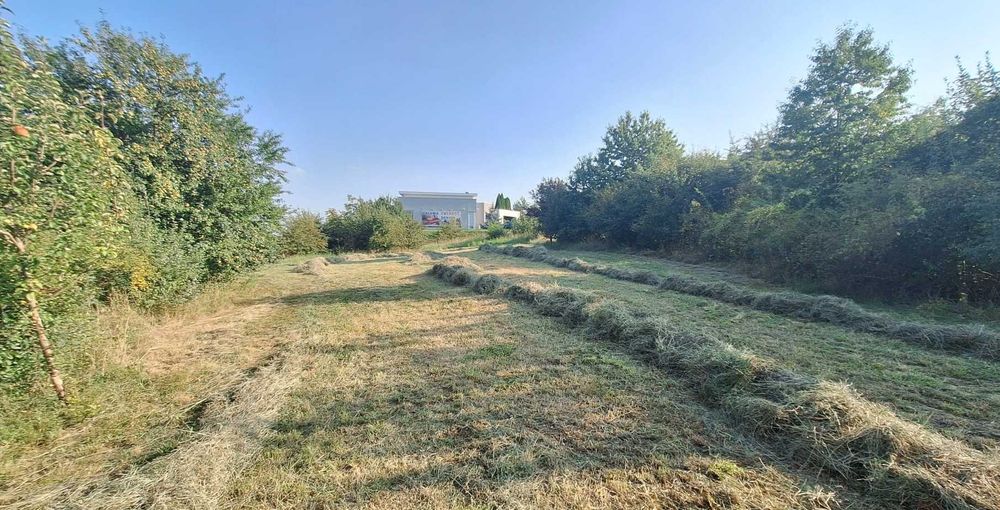 Tegoroczne siano ekologiczne w równych kostkach