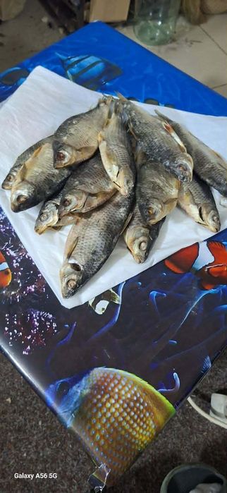 Рыба вялена,сушена  асортимент!!