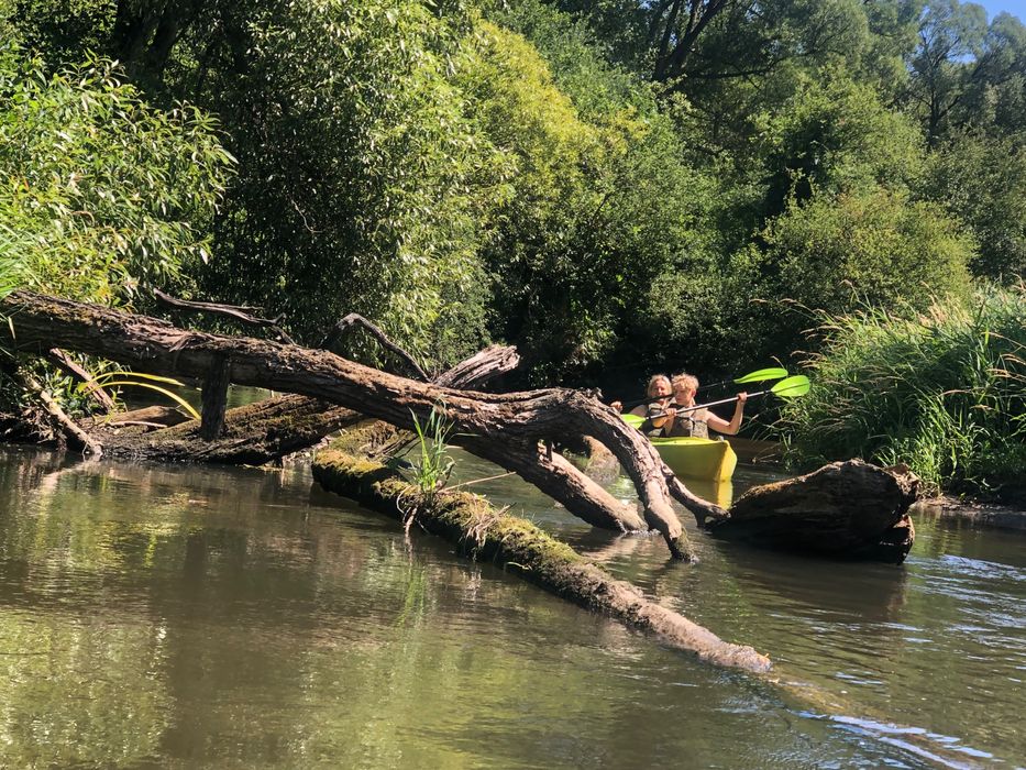 Noclegi, domki drewniane na sylwestra kawalerski panieński firmowe