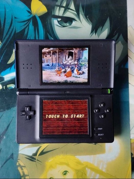 Jogo Nintendo DS "Chicken Shoot" 2007