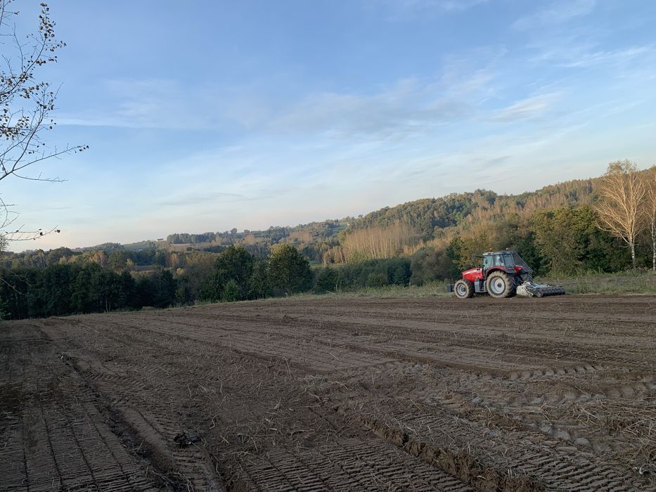 Mulczowanie Karczowanie Rekultywacja Czyszczenie działek