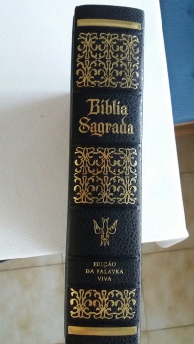 Bíblia sagrada com ilustrações - Debruada a ouro