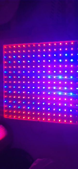 LED лампа для растений