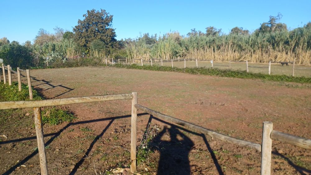 5.000 m2 a 300m do açude em Coimbra com infraestruturas para cavalos