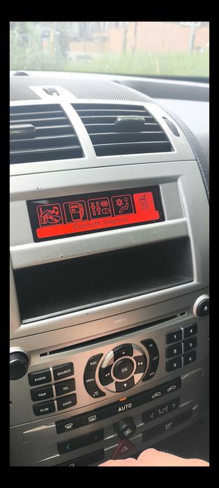 Monitor radia Peugeot 407