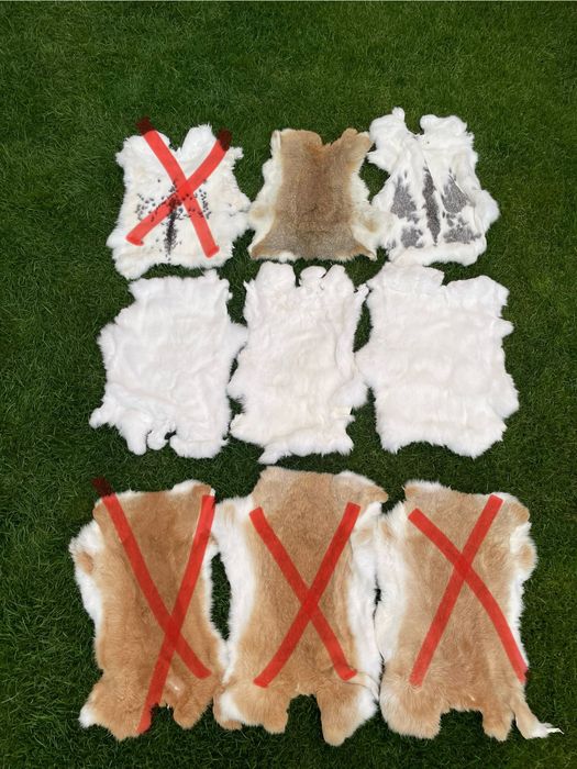 Skóra królik, skóry królicze, futro z królika, Skóry z królika