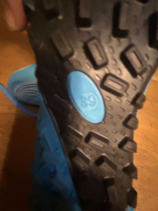 Сороконошки маломерки