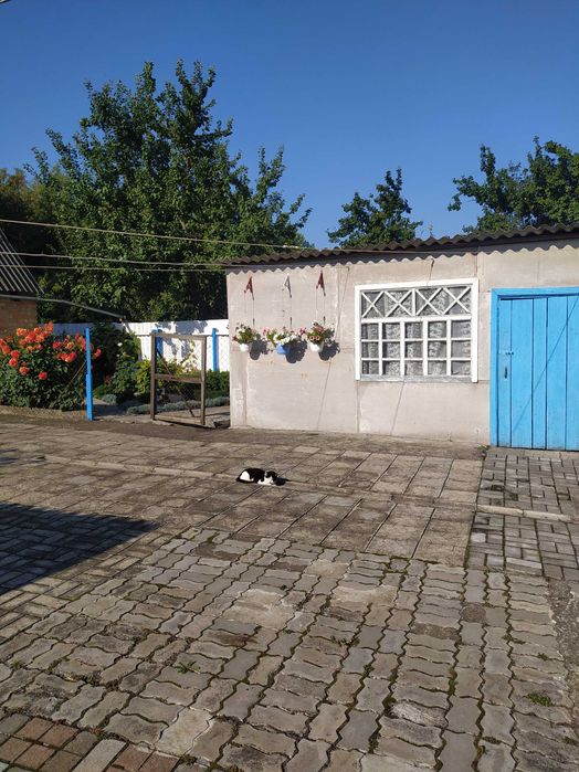 Продаж будинку село Софіївка Сумского района