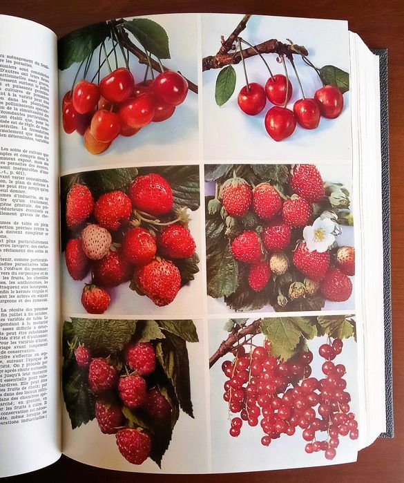 LAROUSSE AGRICOLE • 1952 • Edição Original Francesa • PEÇA RARA