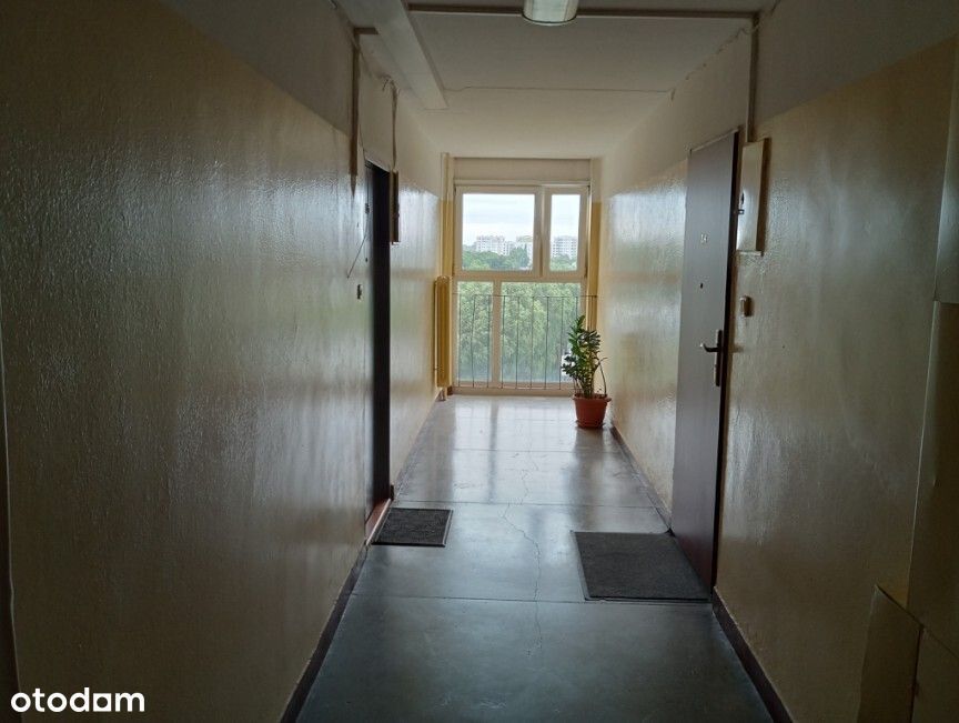 3 pokoje, Żoliborz, Balkon, Piwnica, 48,5 m² , Bezpośrednio - Widok 4