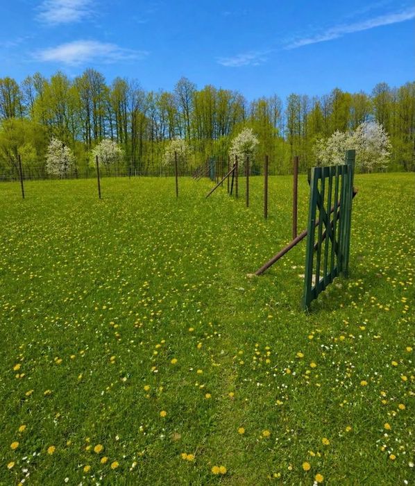 Działka rekreacyjna -Mazury, Las&jezioro