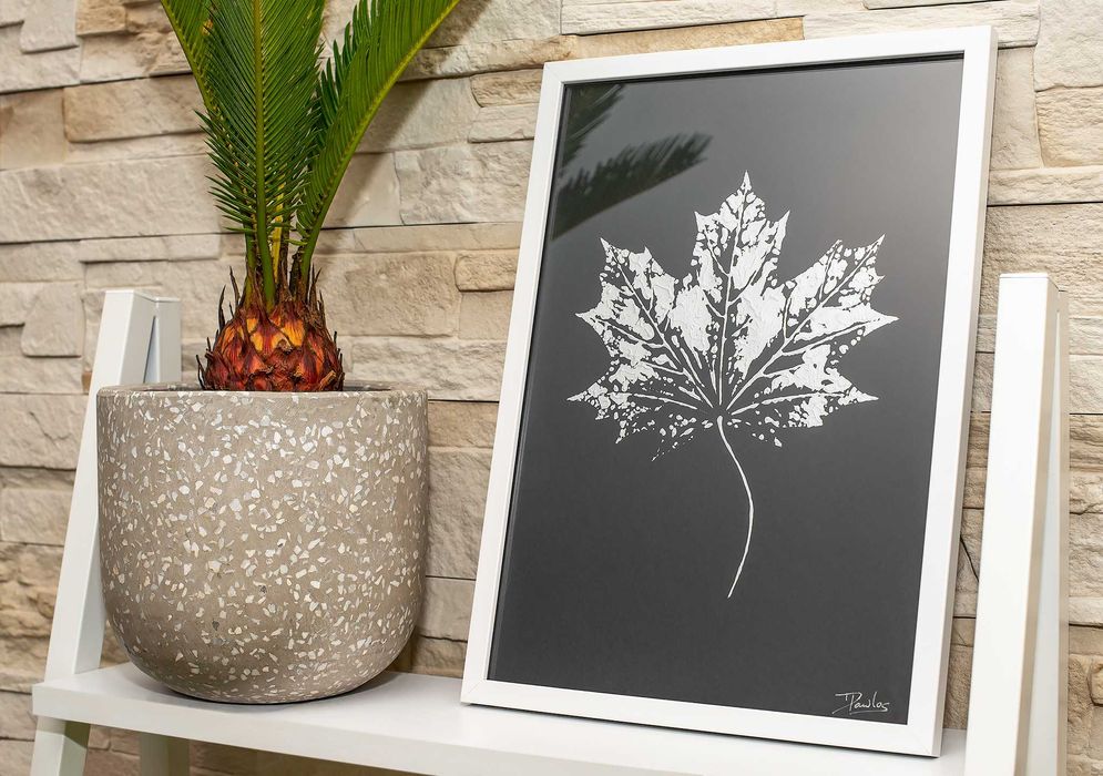 Obraz w ramie. Botaniczne plakaty. Srebrny Liść KLON ramka A4