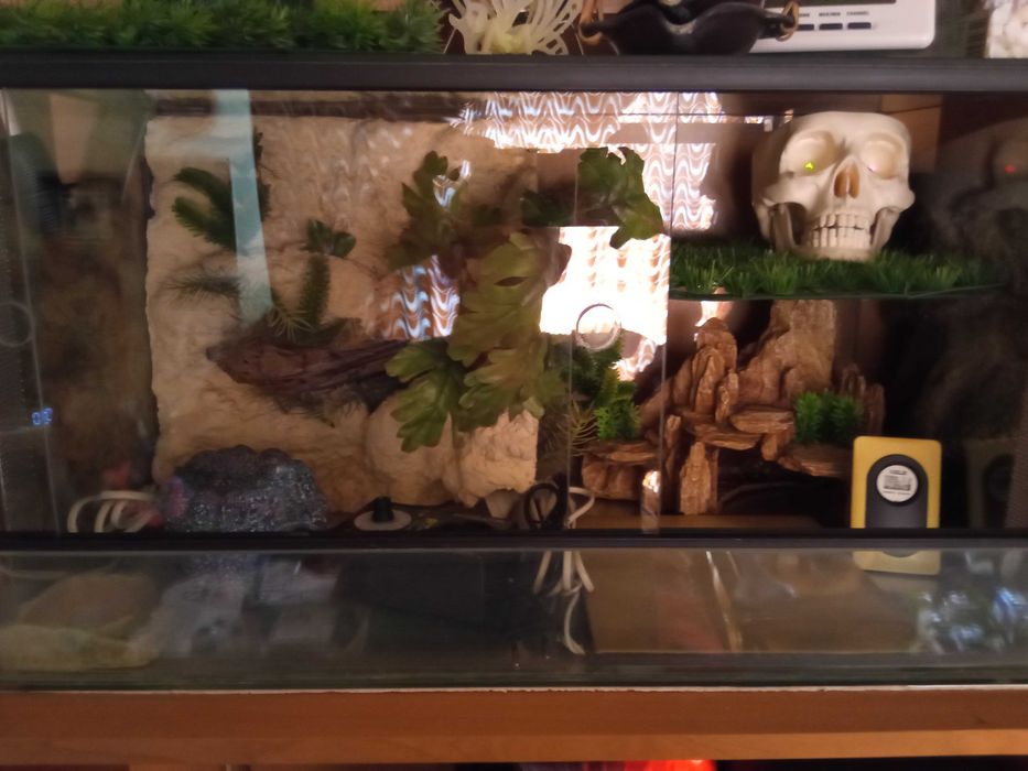 Terrarium dla gekona