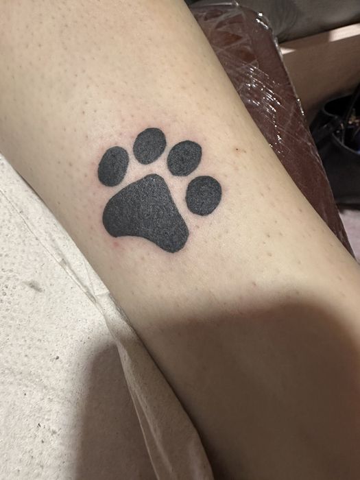 Тату Нова Водолага