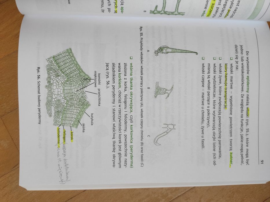 Biologia Barbara Bukała