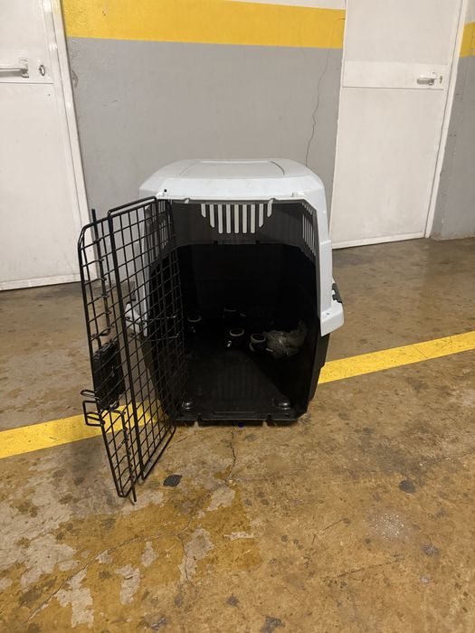 Transportadora de animais (cão)