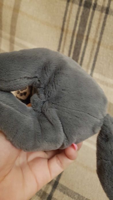 Ty beanie Ballies глазастик пепельный кот PAYTON 22 см