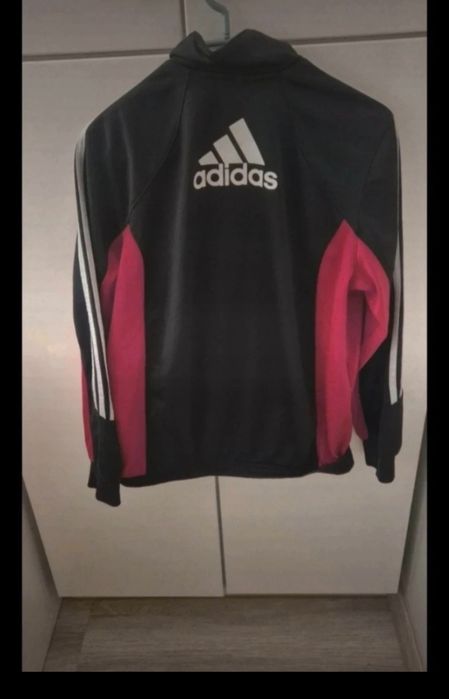 Bluza 146 Adidas