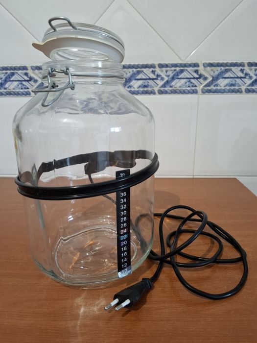 Kit fermentação caseiro alimentar (Kombucha)
