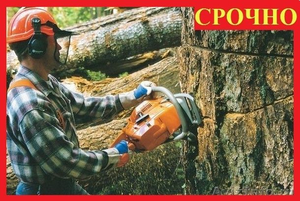 Расчистка участков, СПИЛ ДЕРЕВЬЕВ, покос травы Дробилка ВывозПо Днепру