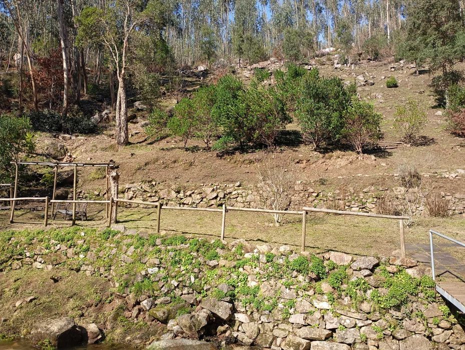Limpeza de terrenos agrícolas