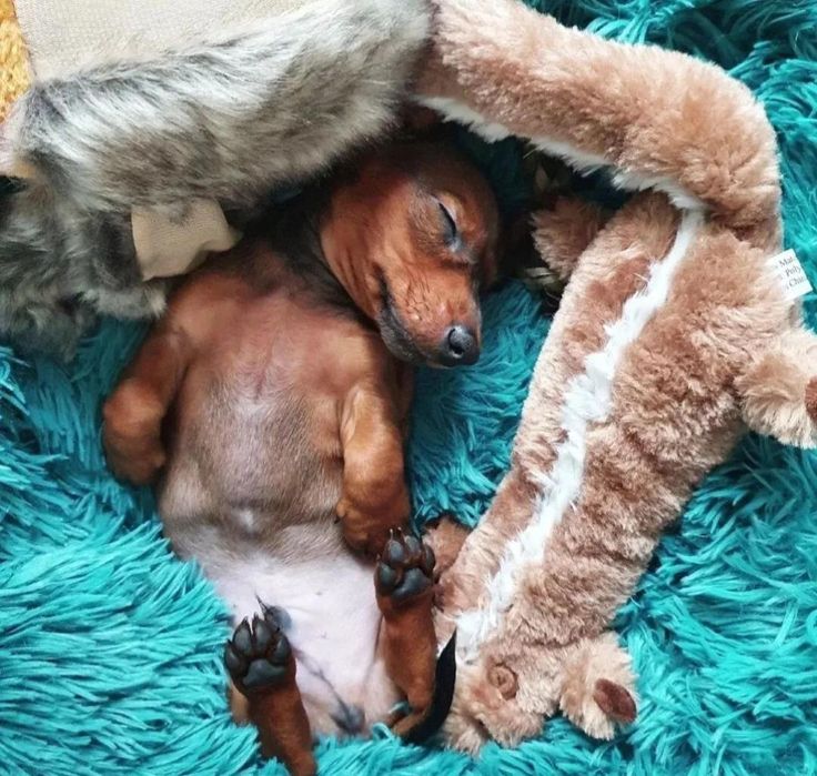 Грайливий хлопчик такси