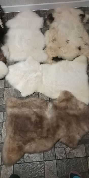 Овечі шкури з Польщі