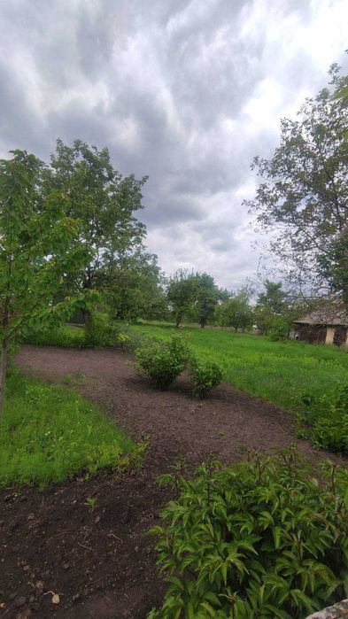 Продаж земельної ділянки в с. Слобода, Обухівський (Кагарлицький) р-н