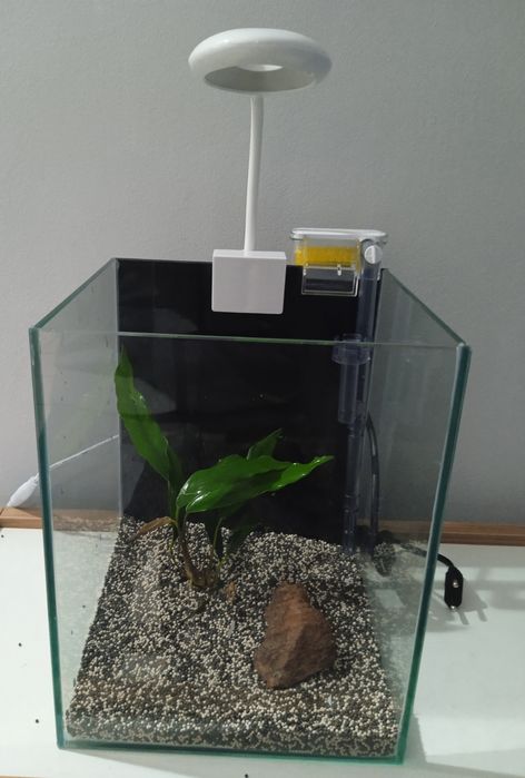 Aquário 20x20x25 novo "kit promocional""