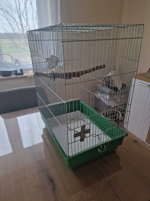Używana klatka dla ptaka