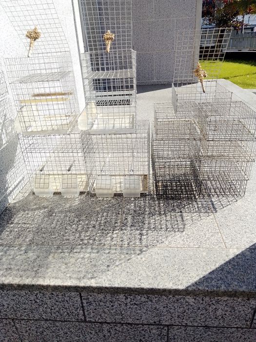 Gaiolas e alçapões